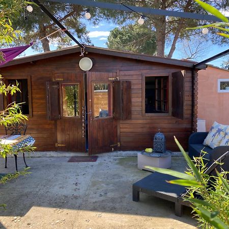 Chalet Des Oliviers 20Mn Des Plages Climatise ベジエ エクステリア 写真