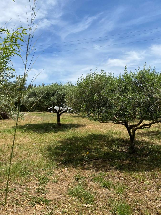 Chalet Des Oliviers 20Mn Des Plages Climatise ベジエ エクステリア 写真