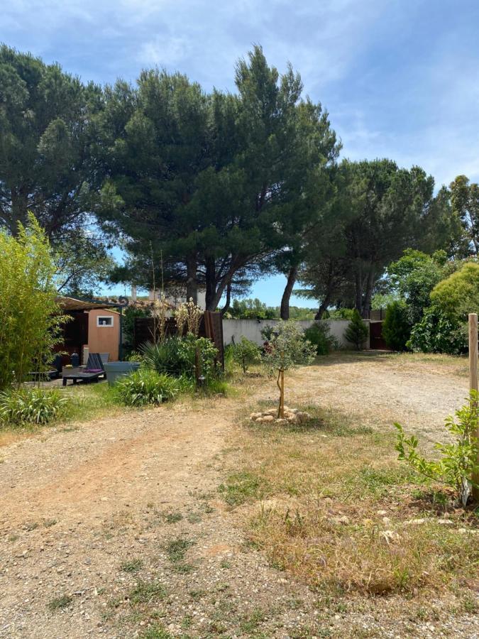 Chalet Des Oliviers 20Mn Des Plages Climatise ベジエ エクステリア 写真
